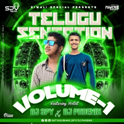 Naire Naire Baba (Telgu Private Dance  Mix)Dj PHOENIX X DJ SPY BBSR